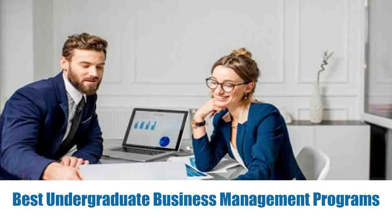 Best Undergraduate Business Management Programs